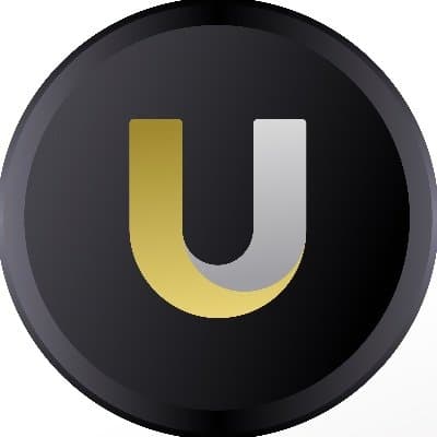 U 币种标志